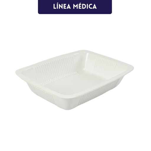 [STPHW-01800000] Plato Auxiliar